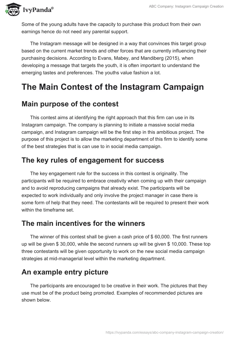 ABC Company: Instagram Campaign Creation. Page 2