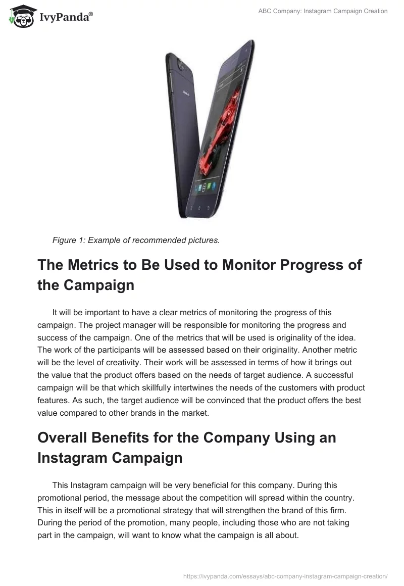 ABC Company: Instagram Campaign Creation. Page 3