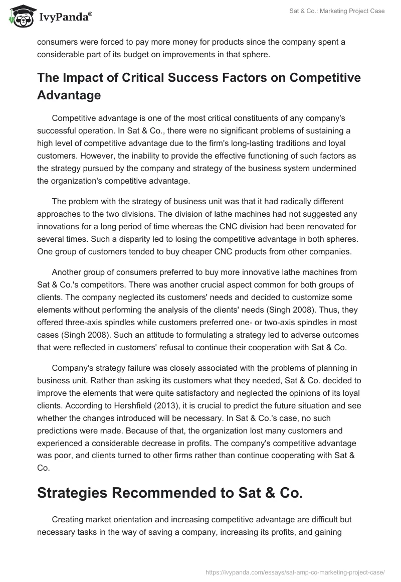 Sat & Co.: Marketing Project Case. Page 3