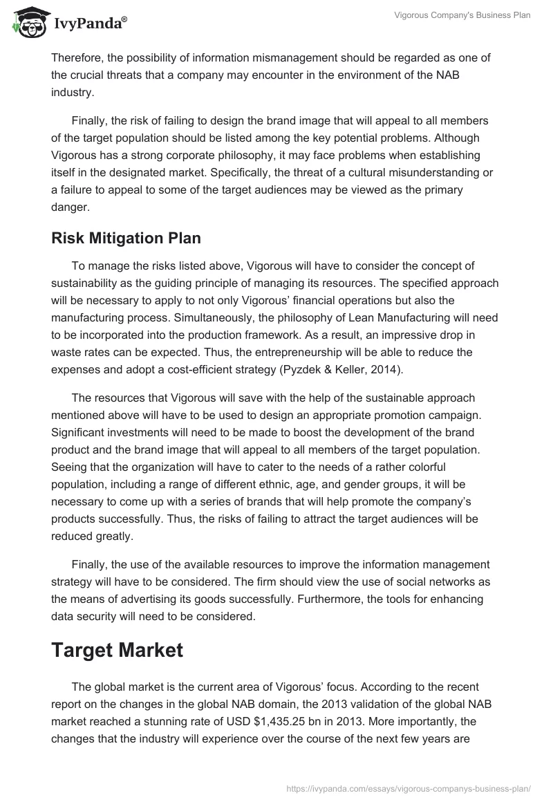 Vigorous Company's Business Plan. Page 4
