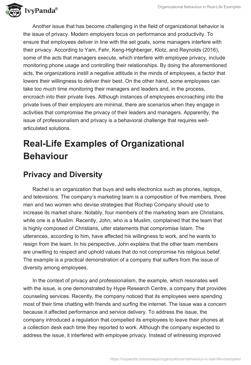Real-Life Examples of Organizational Behavior: Essay. Page 2