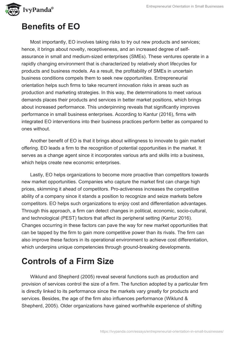Entrepreneurial Orientation in Small Businesses. Page 3