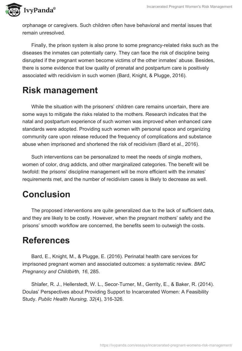 Incarcerated Pregnant Women's Risk Management. Page 2