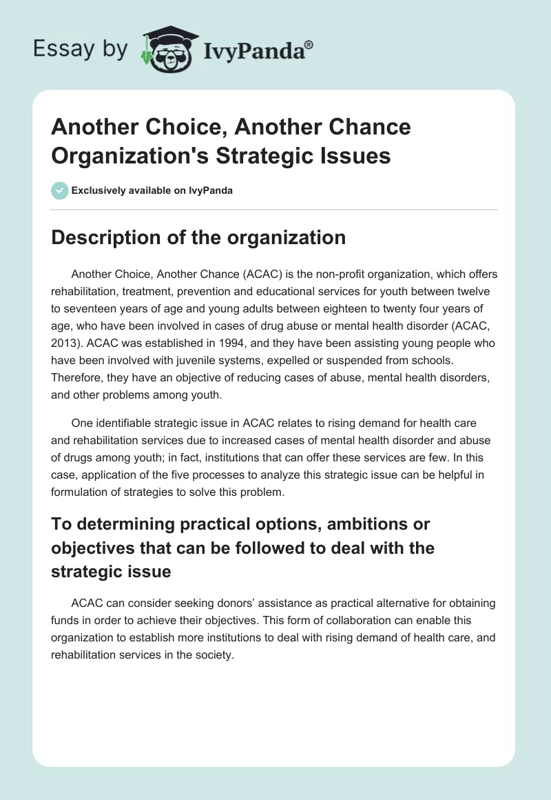 Another Choice, Another Chance Organization's Strategic Issues. Page 1