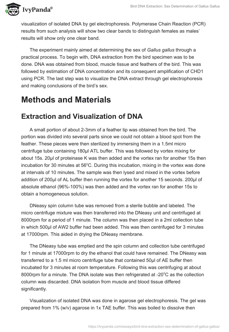Bird DNA Extraction: Sex Determination of Gallus Gallus. Page 2