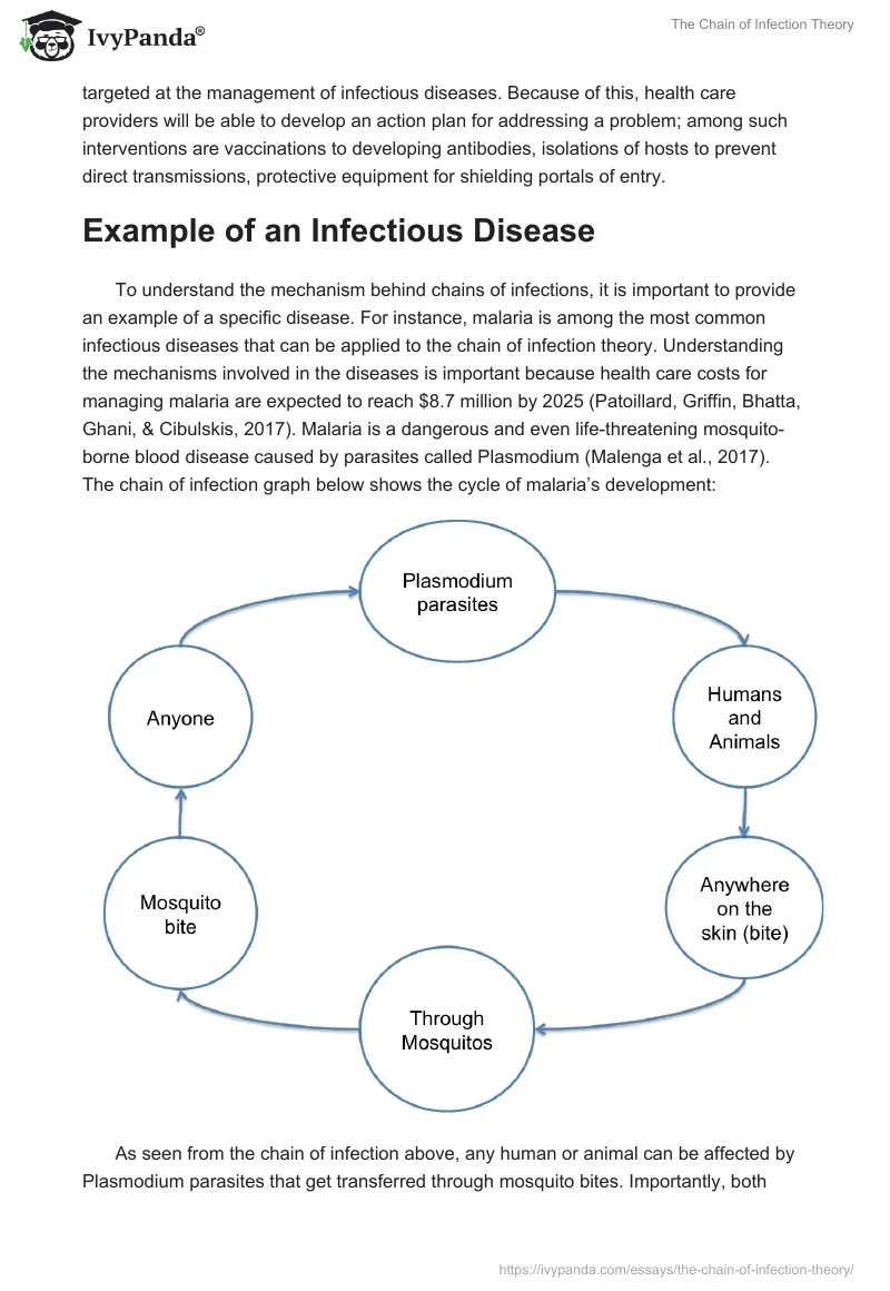 The Chain of Infection Theory. Page 2