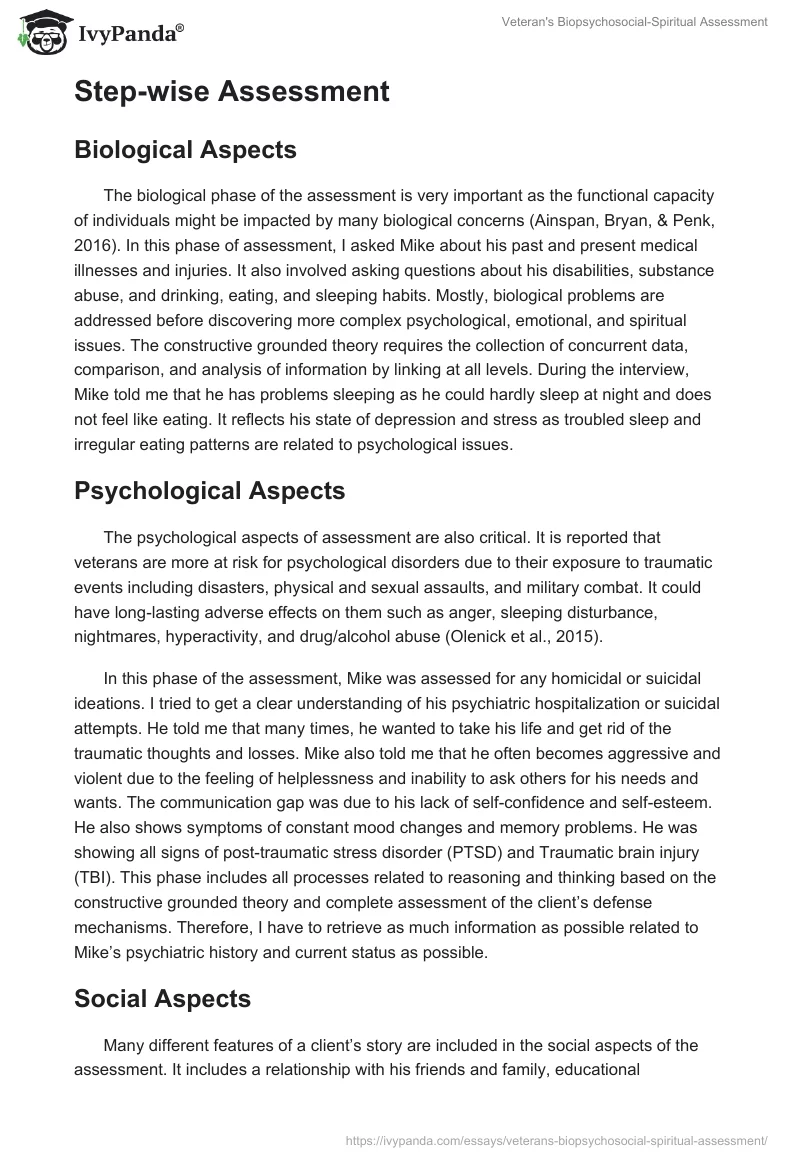 Veteran's Biopsychosocial-Spiritual Assessment. Page 5