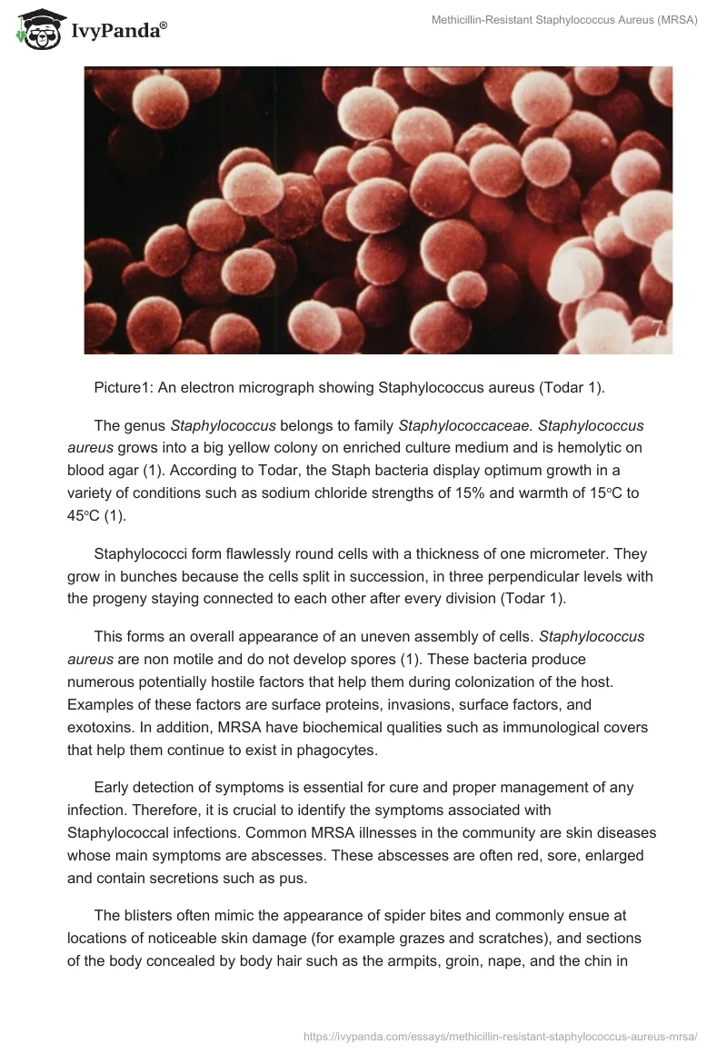 Methicillin-Resistant Staphylococcus Aureus (MRSA). Page 2
