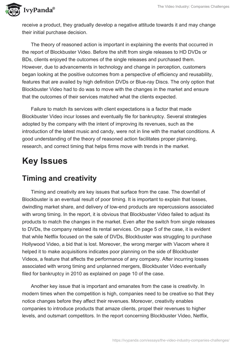 The Video Industry: Companies Challenges. Page 4