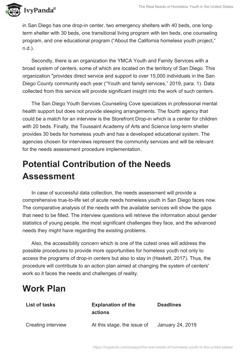 The Real Needs of Homeless Youth in the United States. Page 3