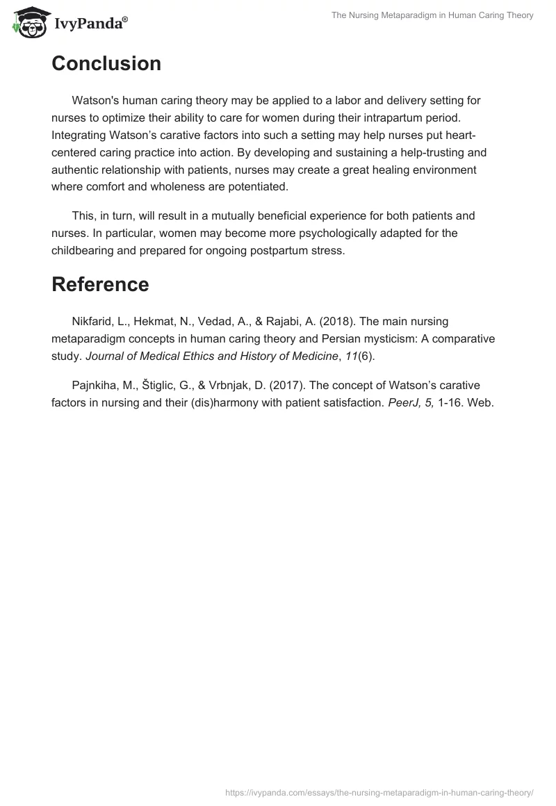 The Nursing Metaparadigm in Human Caring Theory. Page 2