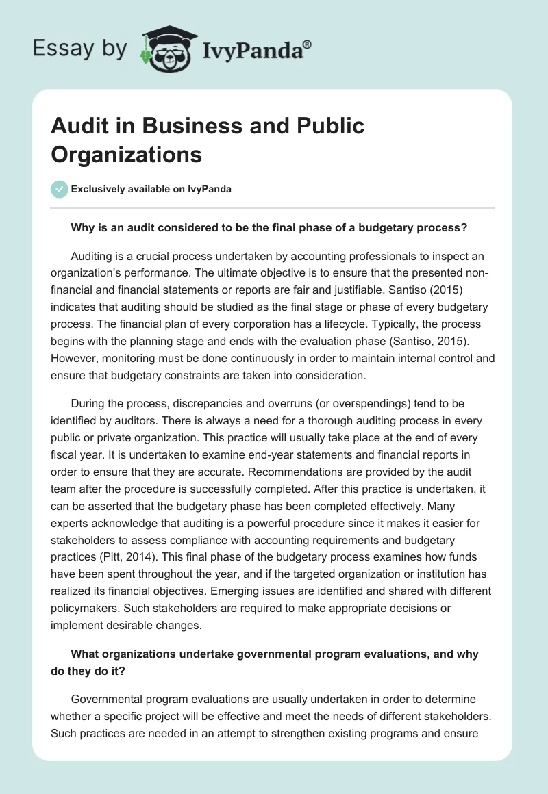Audit in Business and Public Organizations. Page 1