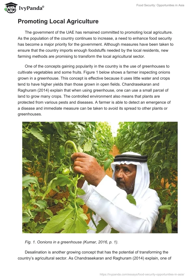 Food Security: Opportunities in Asia. Page 4