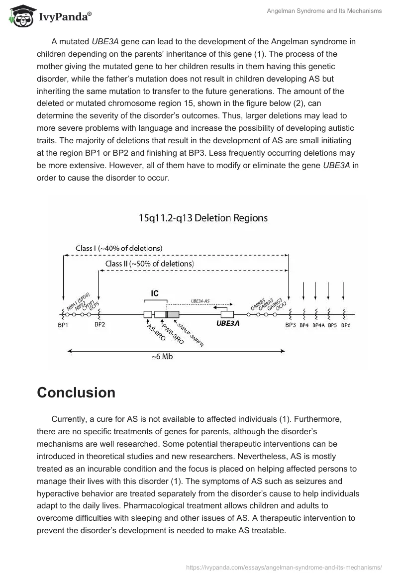 Angelman Syndrome and Its Mechanisms. Page 2