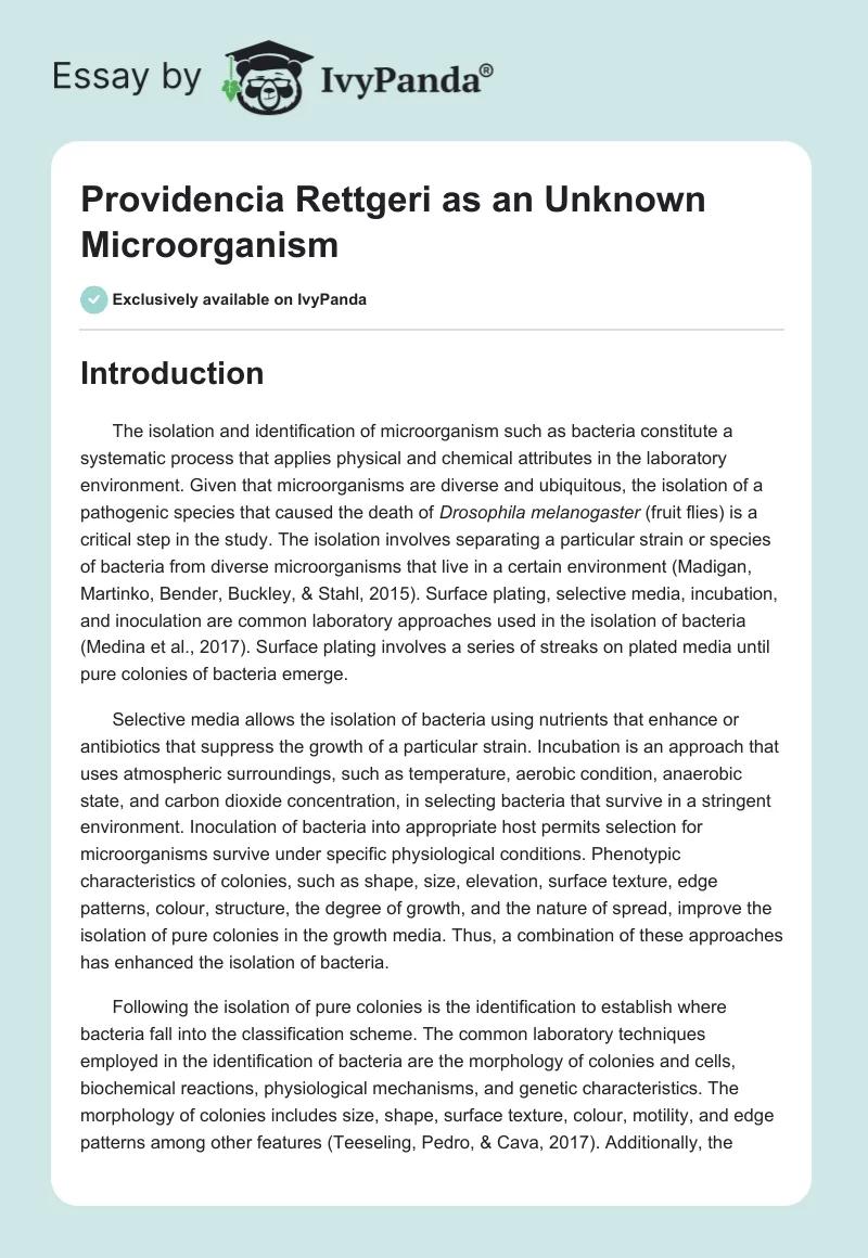 Providencia Rettgeri as an Unknown Microorganism. Page 1