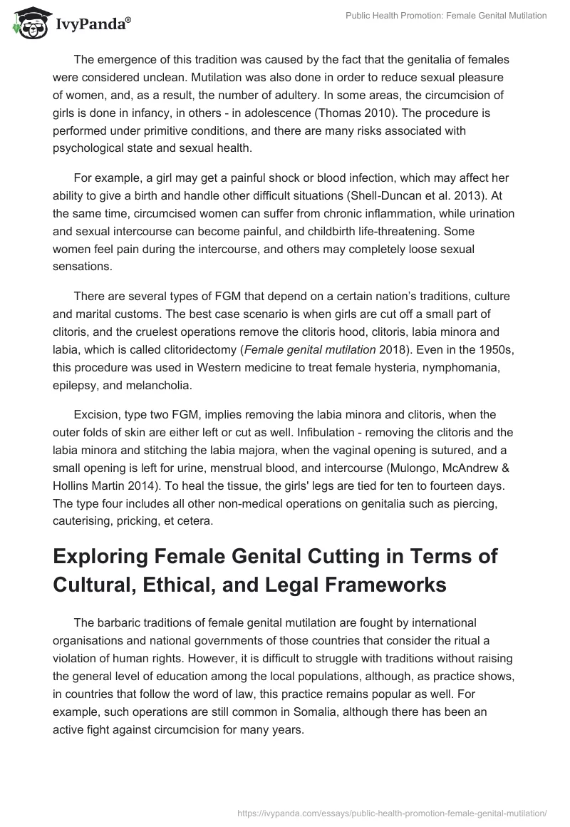 Public Health Promotion: Female Genital Mutilation. Page 4