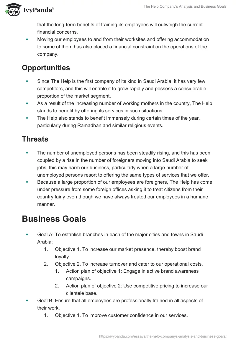The Help Company's Analysis and Business Goals. Page 2