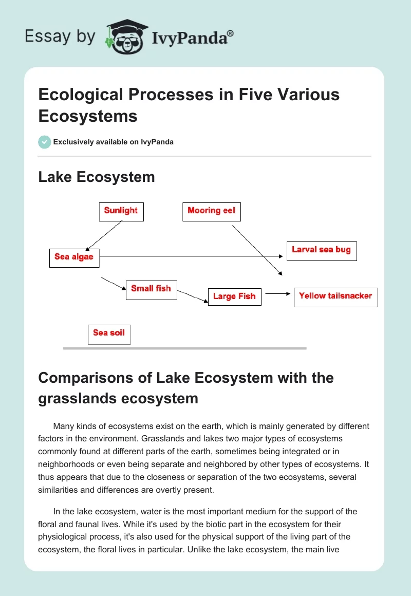 Ecological Processes in Five Various Ecosystems. Page 1