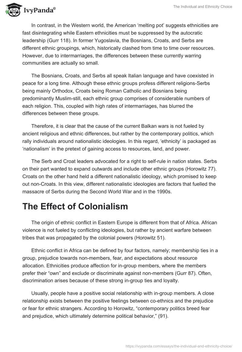 The Individual and Ethnicity Choice. Page 2