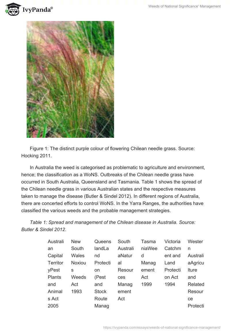 Weeds of National Significance' Management. Page 2
