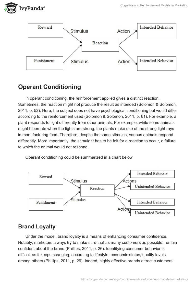 Cognitive and Reinforcement Models in Marketing. Page 4