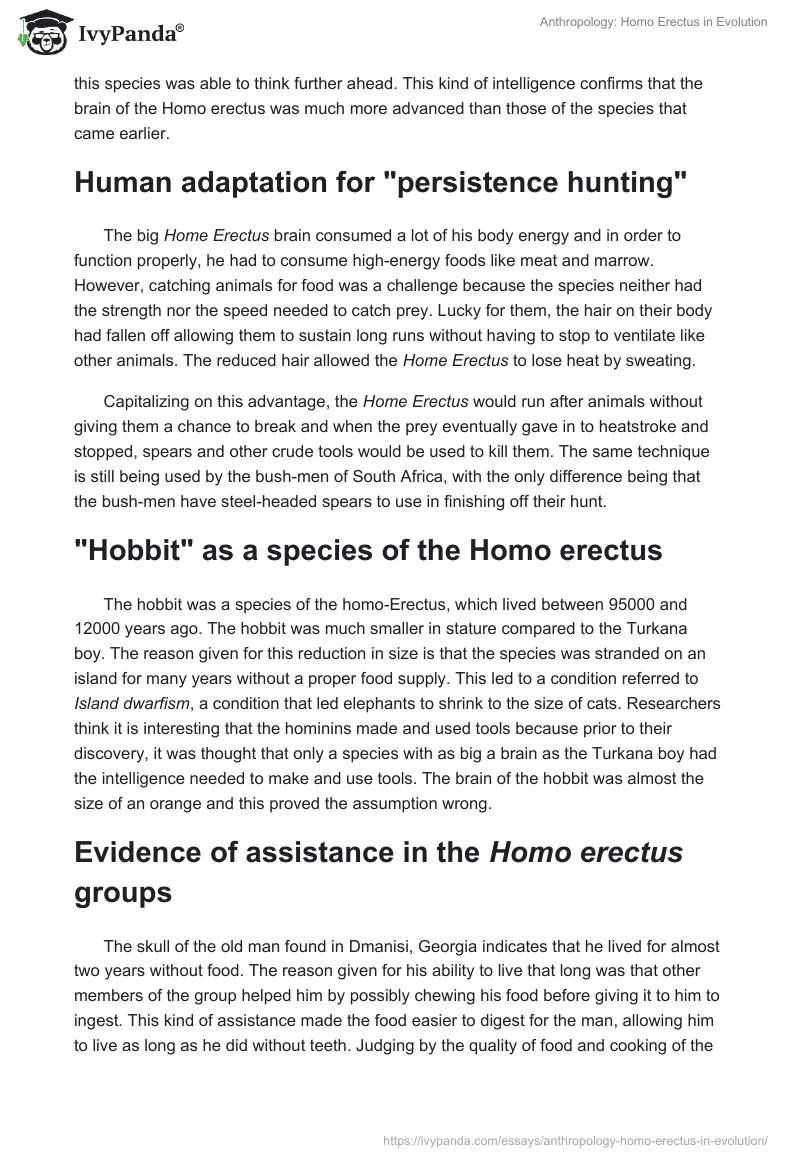 Anthropology: Homo Erectus in Evolution. Page 2