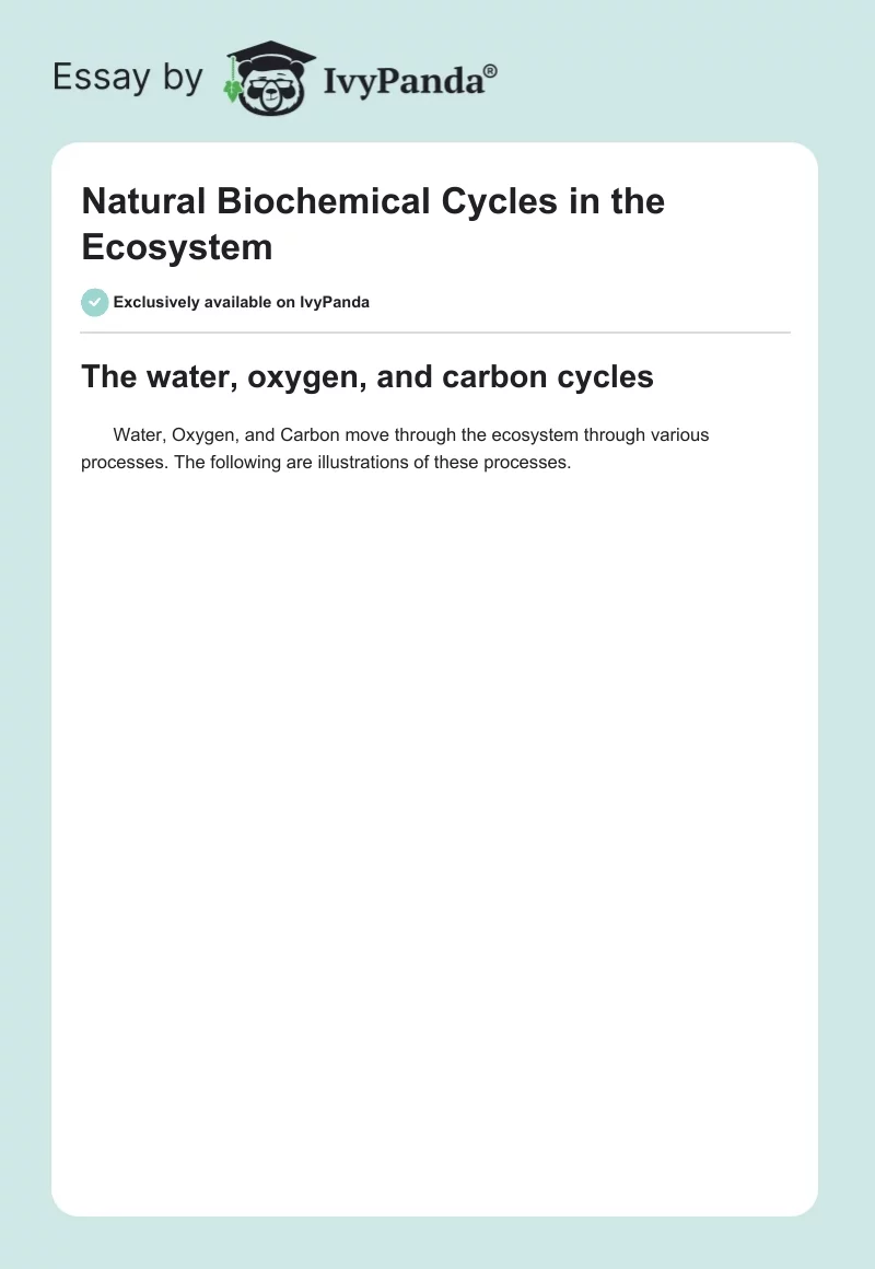Natural Biochemical Cycles in the Ecosystem. Page 1