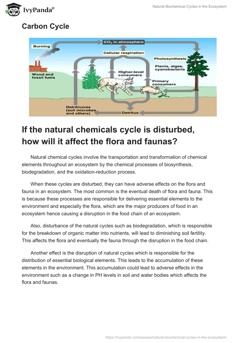 Natural Biochemical Cycles in the Ecosystem. Page 4