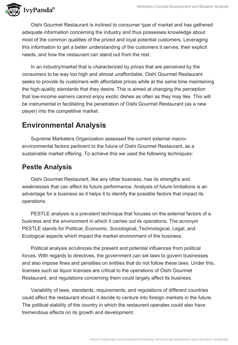 Marketing Concept Development and Situation Analysis. Page 4