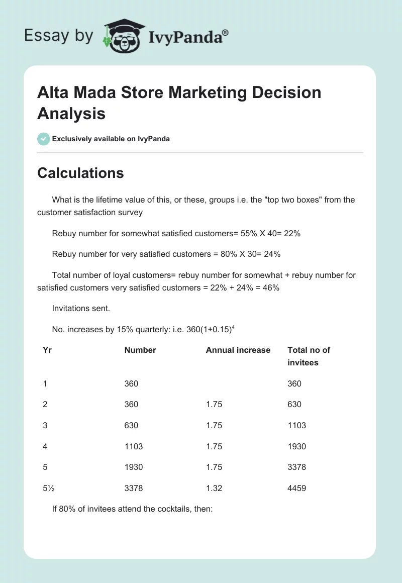 Alta Mada Store Marketing Decision Analysis. Page 1