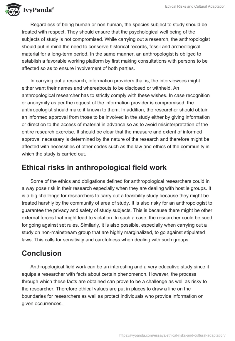 Ethical Risks and Cultural Adaptation. Page 2