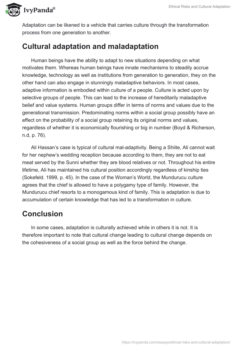 Ethical Risks and Cultural Adaptation. Page 4
