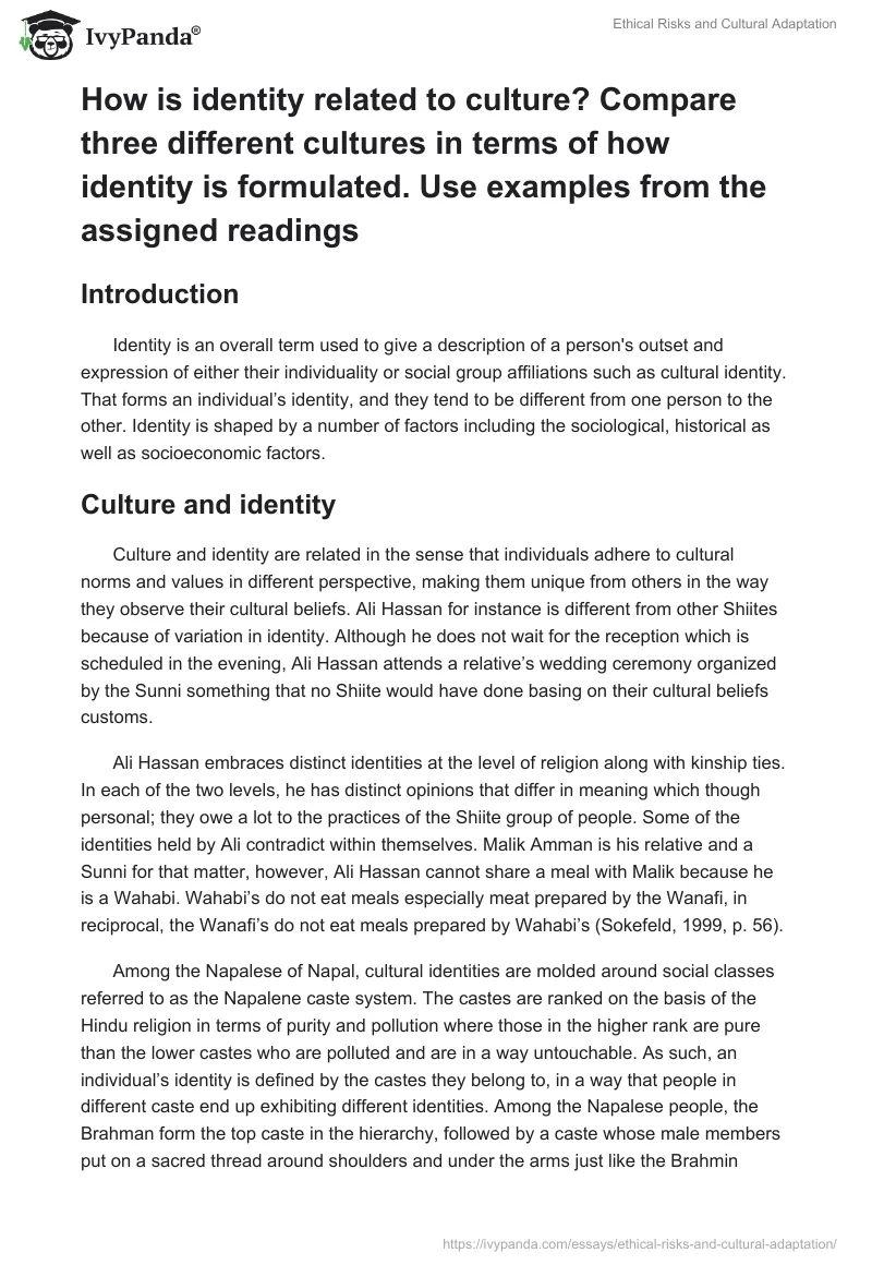 Ethical Risks and Cultural Adaptation. Page 5