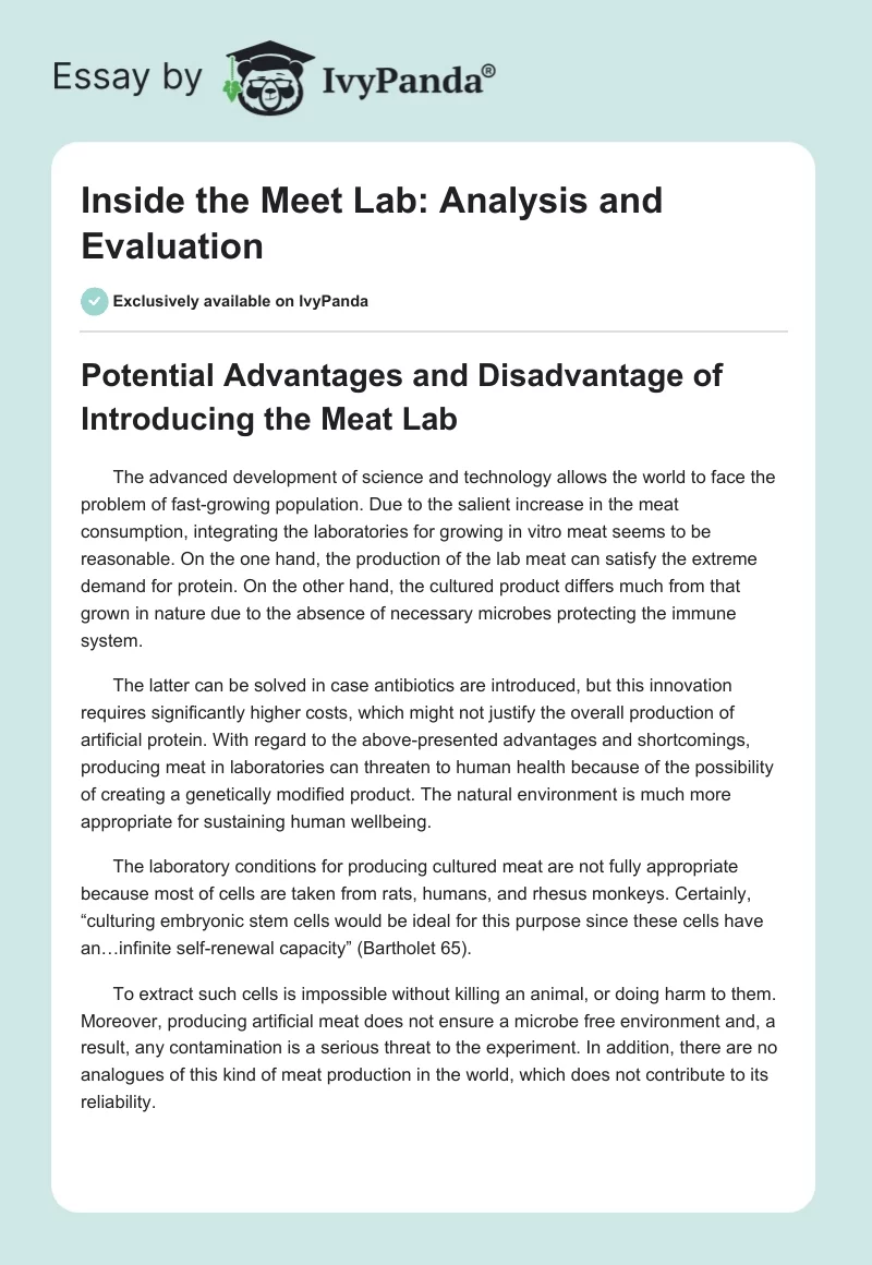 Inside the Meet Lab: Analysis and Evaluation. Page 1