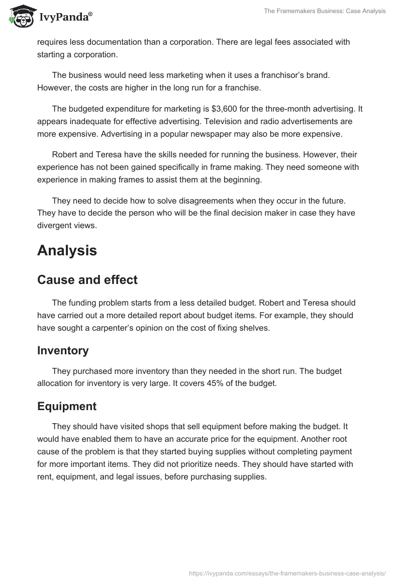 The Framemakers Business: Case Analysis. Page 3