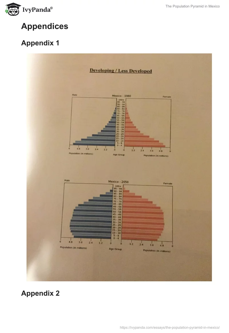 The Population Pyramid in Mexico. Page 3