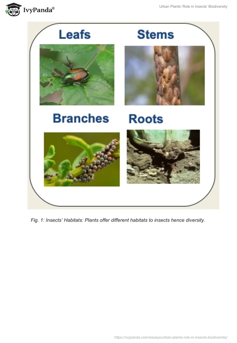 Urban Plants' Role in Insects’ Biodiversity. Page 2