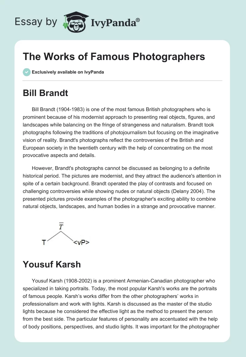 The Works of Famous Photographers. Page 1
