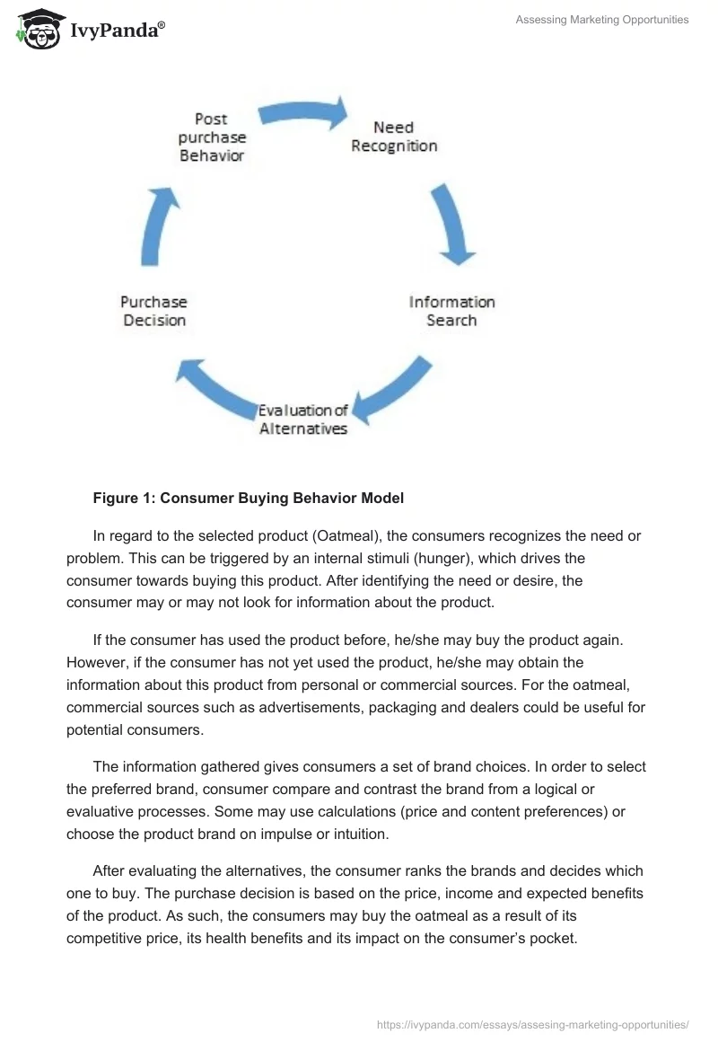 Assessing Marketing Opportunities. Page 2
