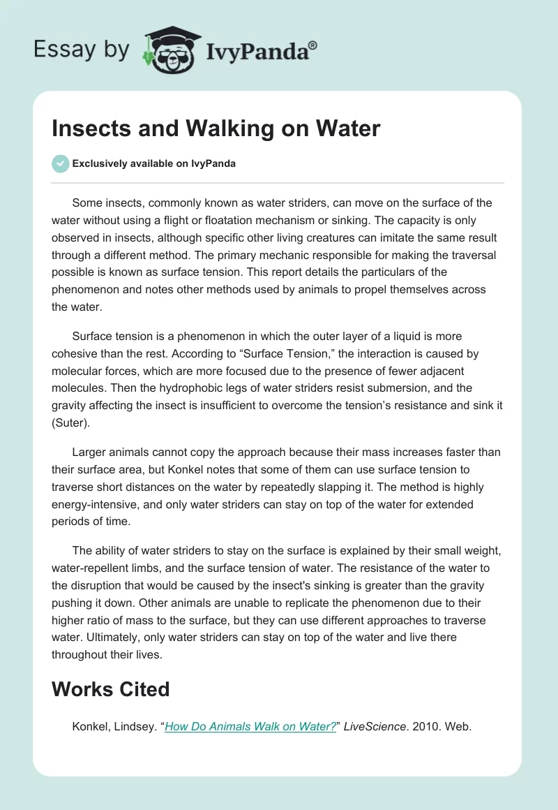 Insects and Walking on Water. Page 1