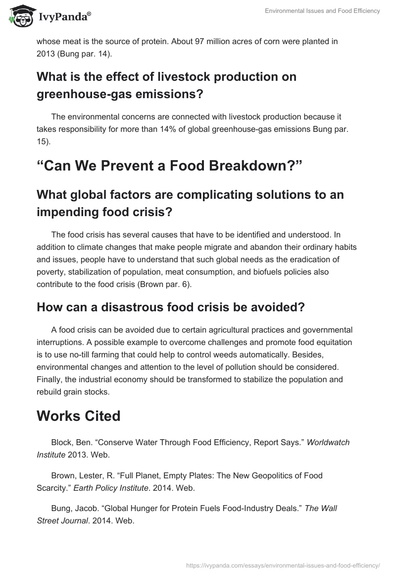 Environmental Issues and Food Efficiency. Page 4
