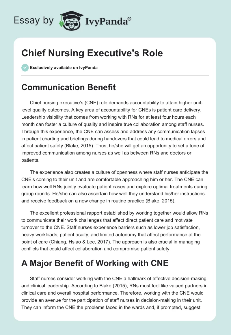 Chief Nursing Executive's Role. Page 1