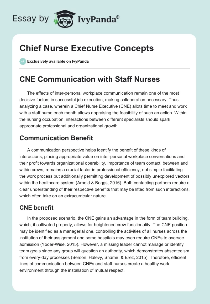 Chief Nurse Executive Concepts. Page 1