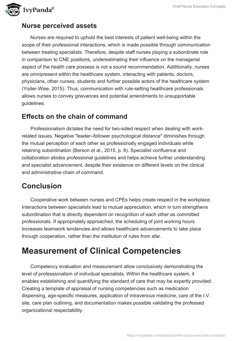 Chief Nurse Executive Concepts. Page 2