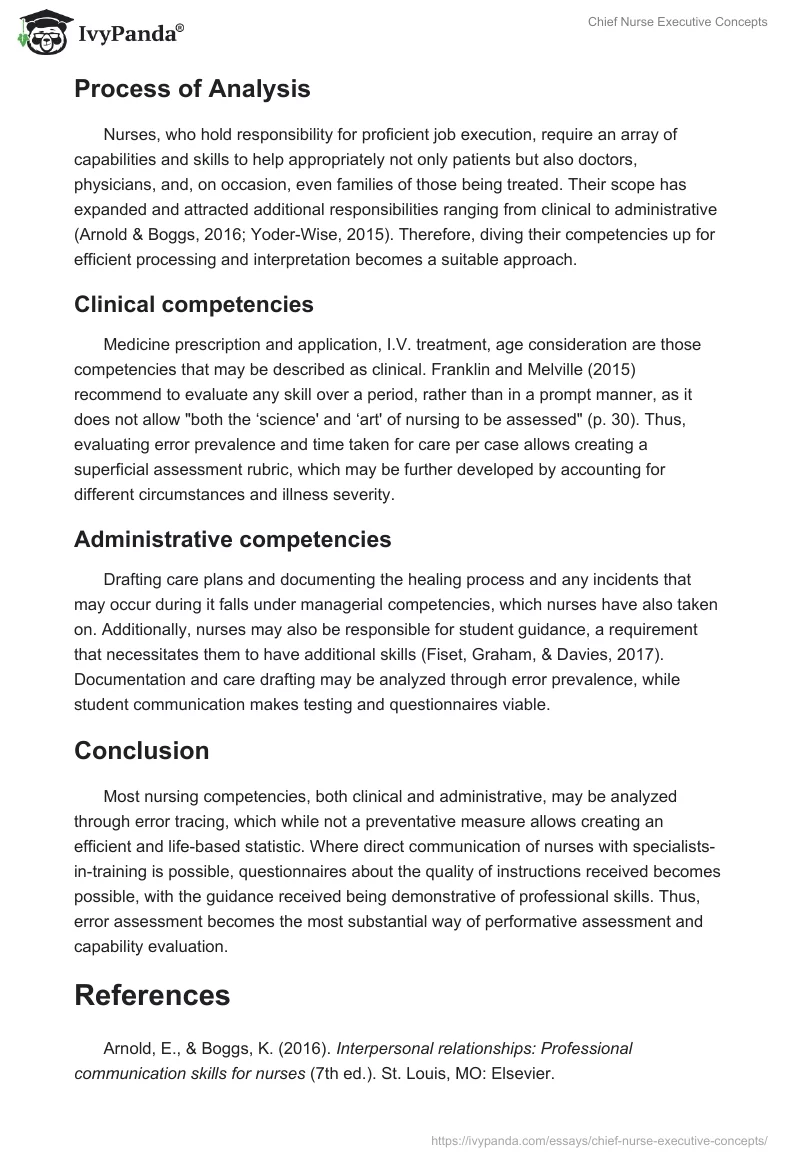 Chief Nurse Executive Concepts. Page 3