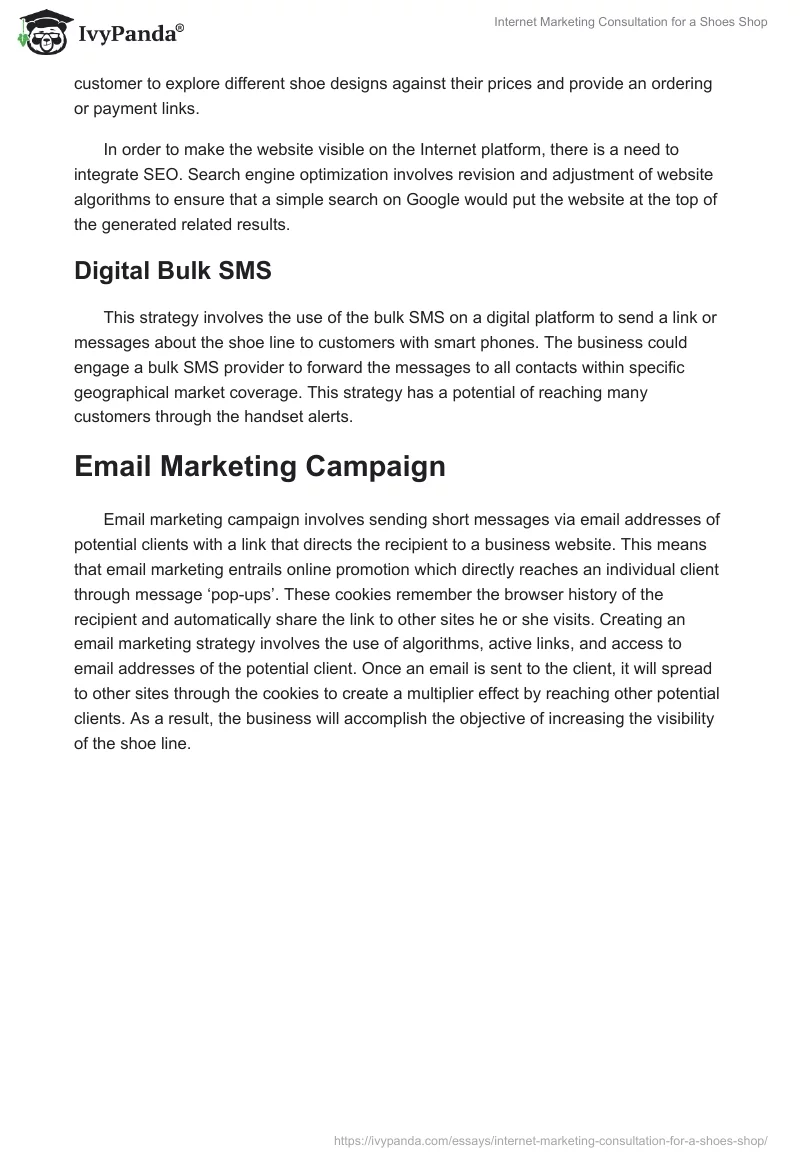 Internet Marketing Consultation for a Shoes Shop. Page 2