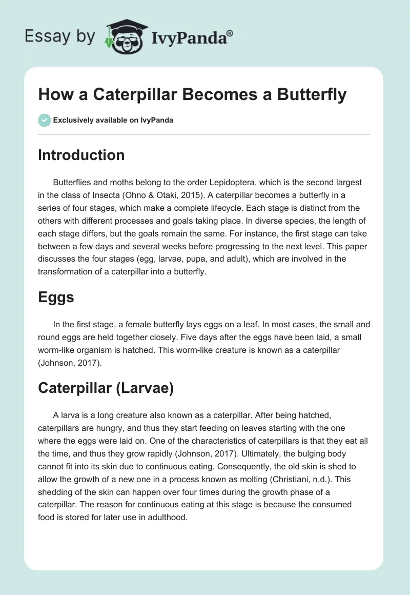How a Caterpillar Becomes a Butterfly. Page 1