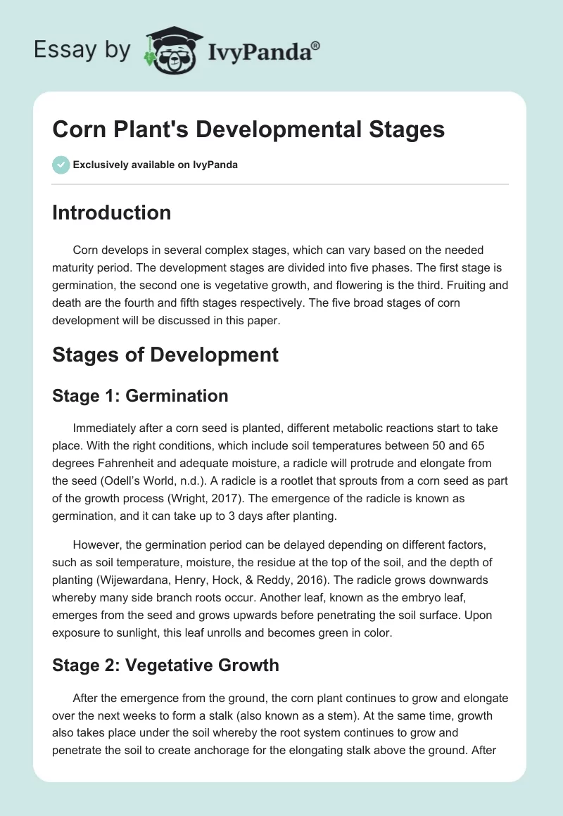 Corn Plant's Developmental Stages. Page 1