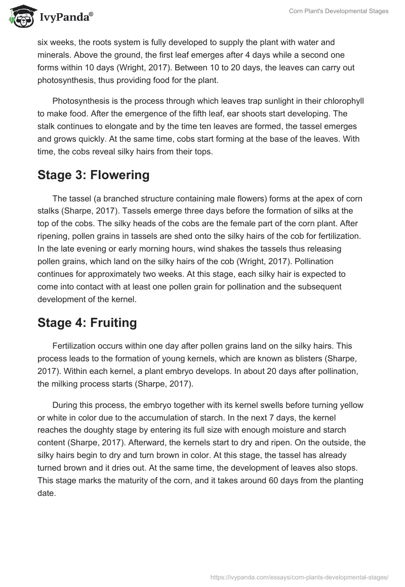 Corn Plant's Developmental Stages. Page 2
