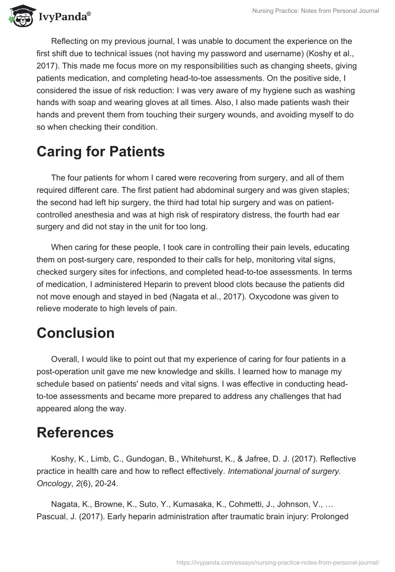 Nursing Practice: Notes from Personal Journal. Page 2